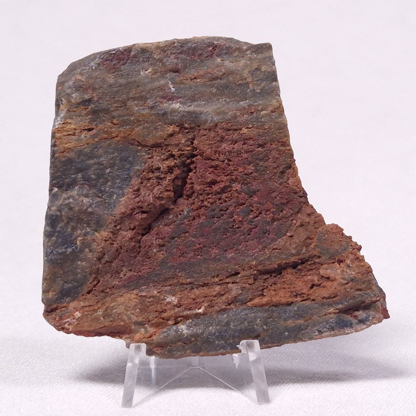 STROMATOLITE, Archean, Australia ZSL029