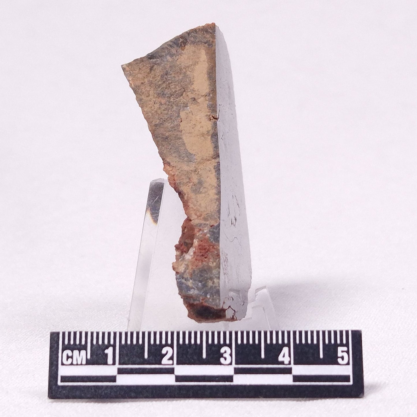 STROMATOLITE, Archean, Australia ZSL029