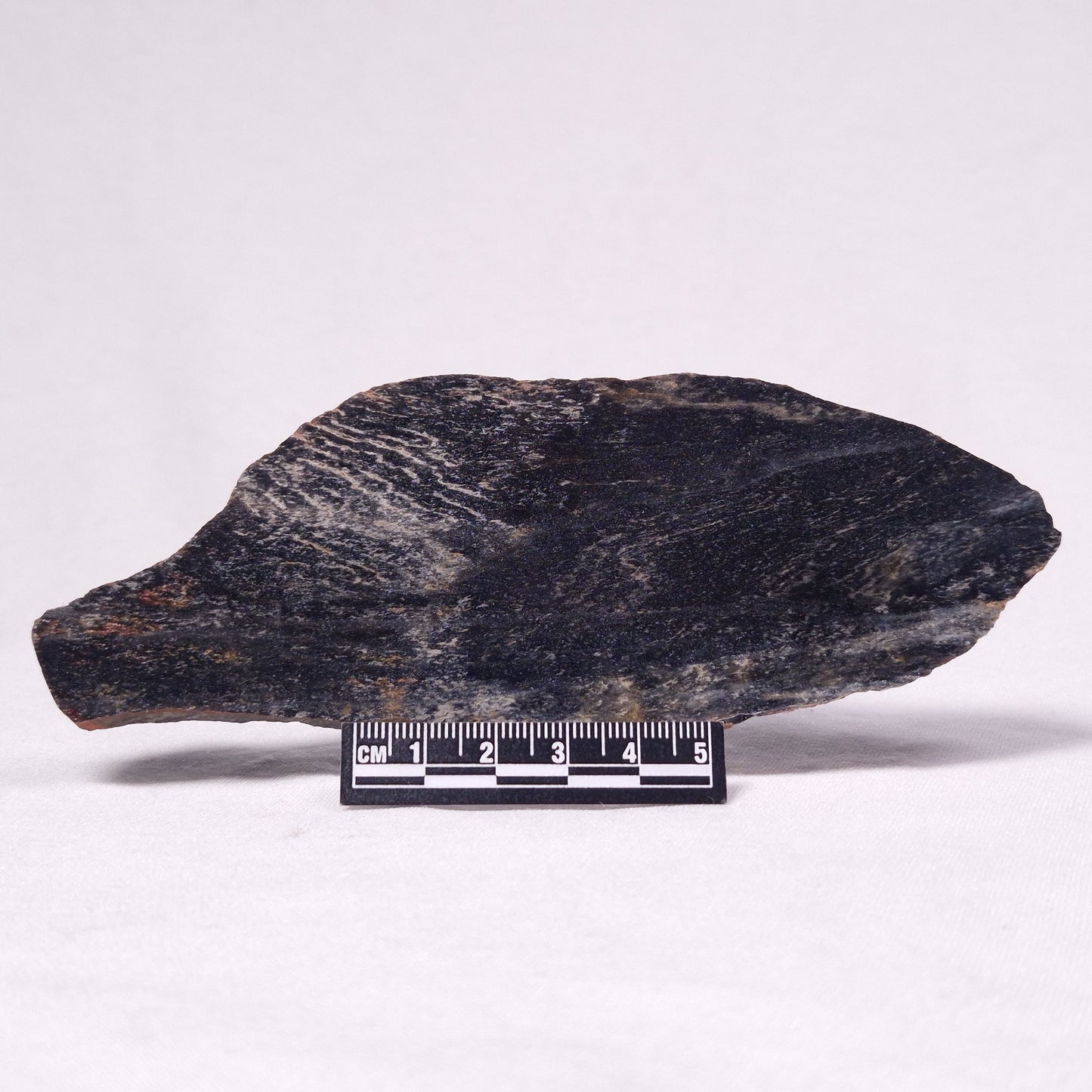 STROMATOLITE, Archean, Australia ZSL031