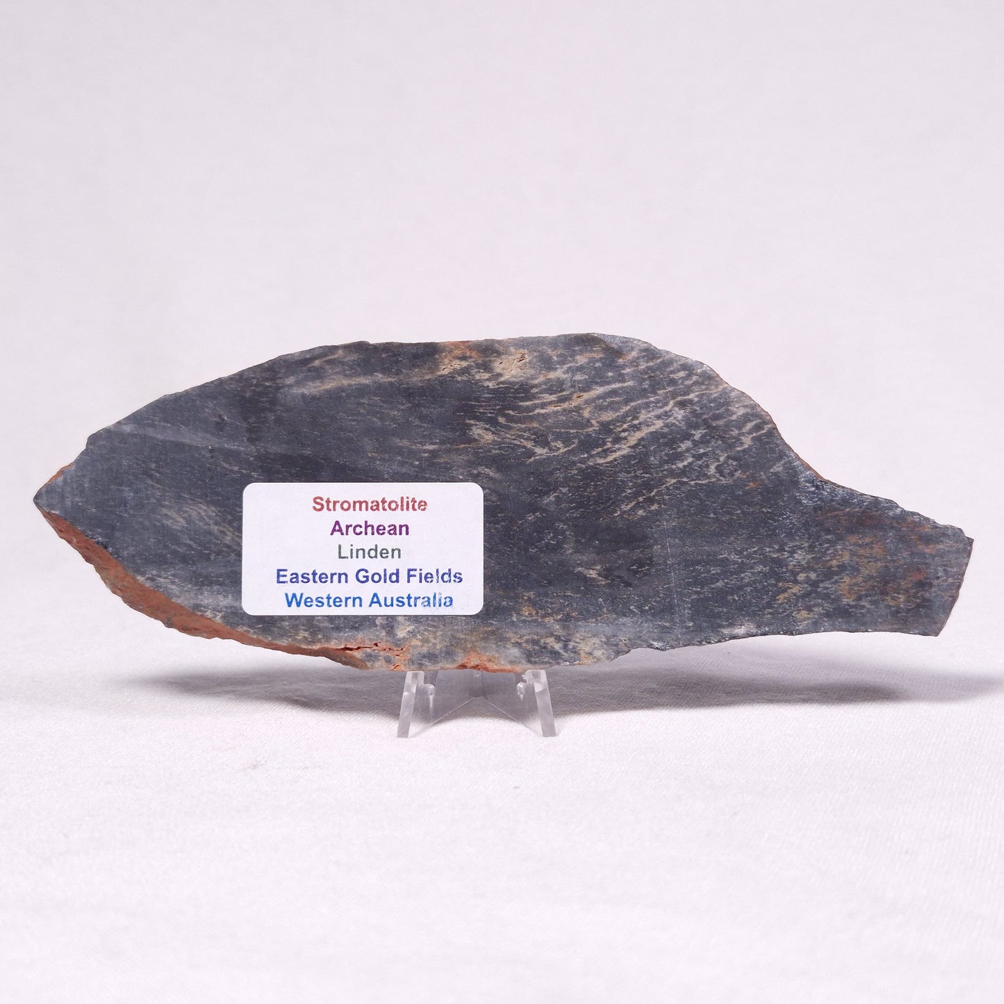 STROMATOLITE, Archean, Australia ZSL031