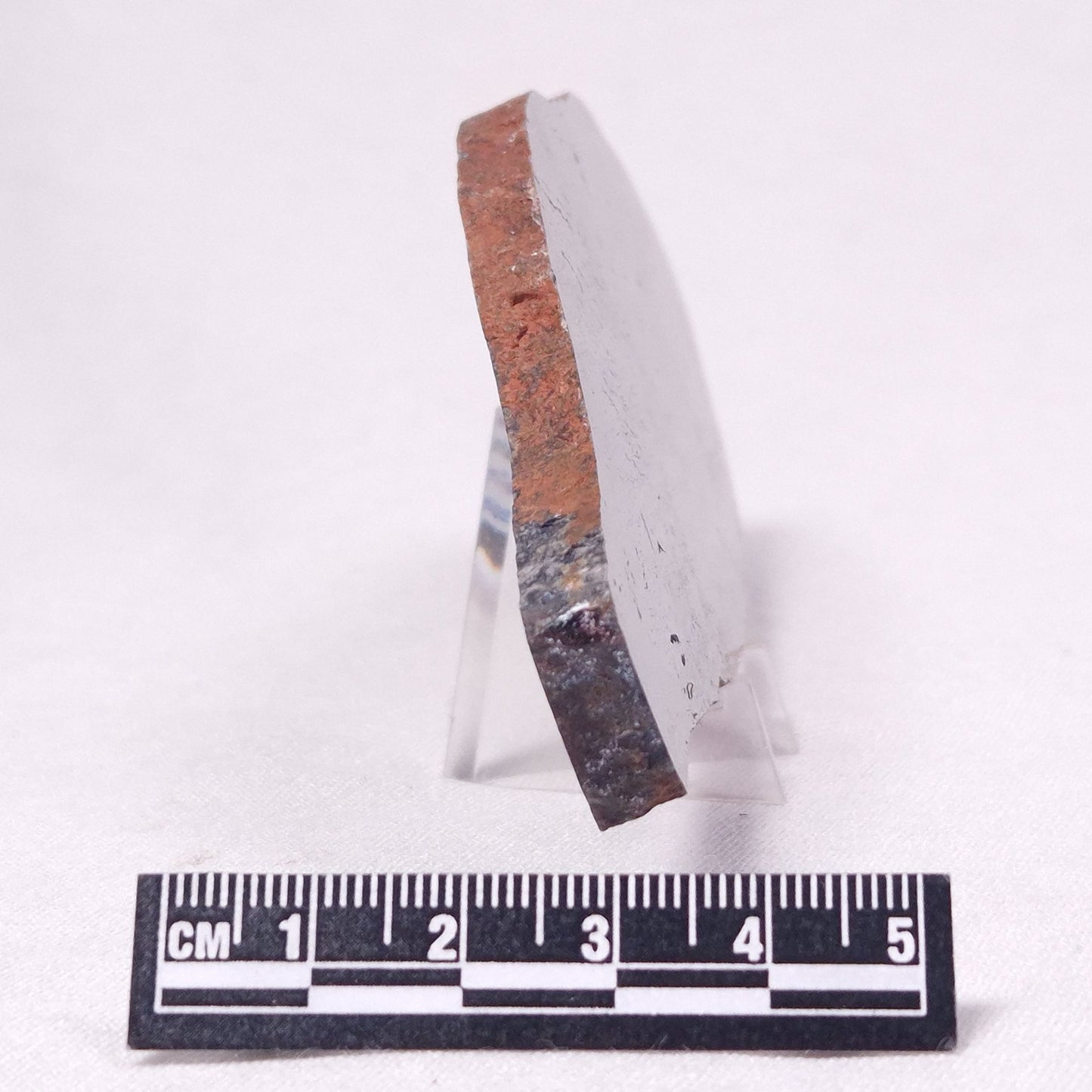 STROMATOLITE, Archean, Australia ZSL031