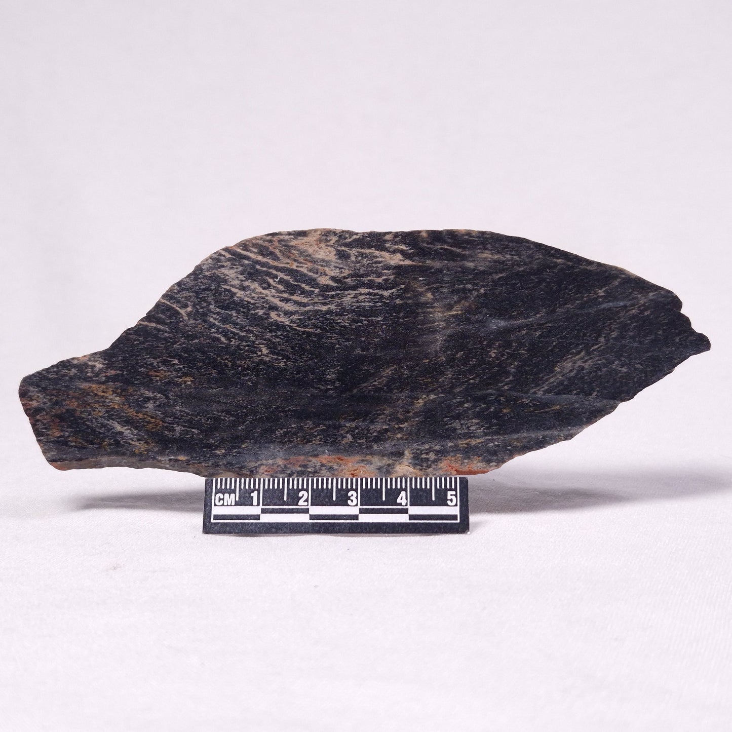 STROMATOLITE, Archean, Australia ZSL032