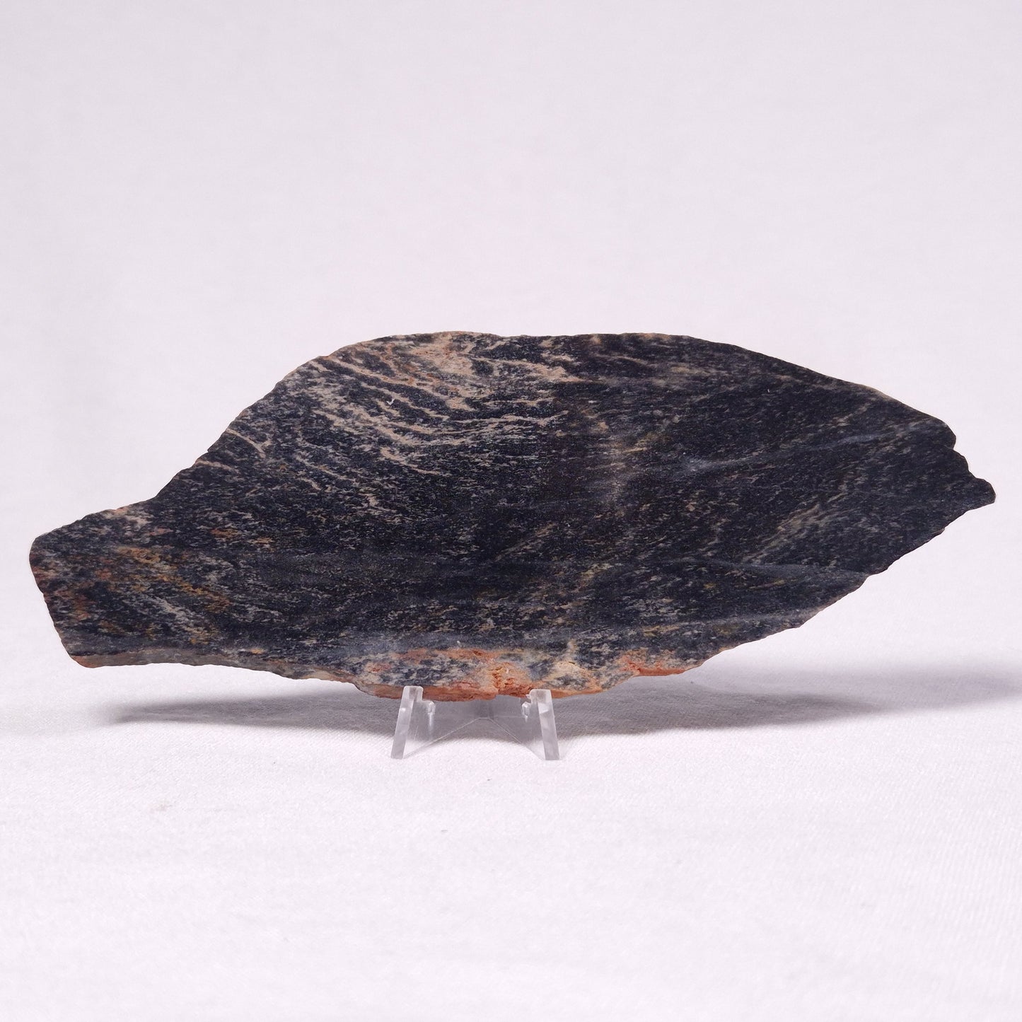 STROMATOLITE, Archean, Australia ZSL032