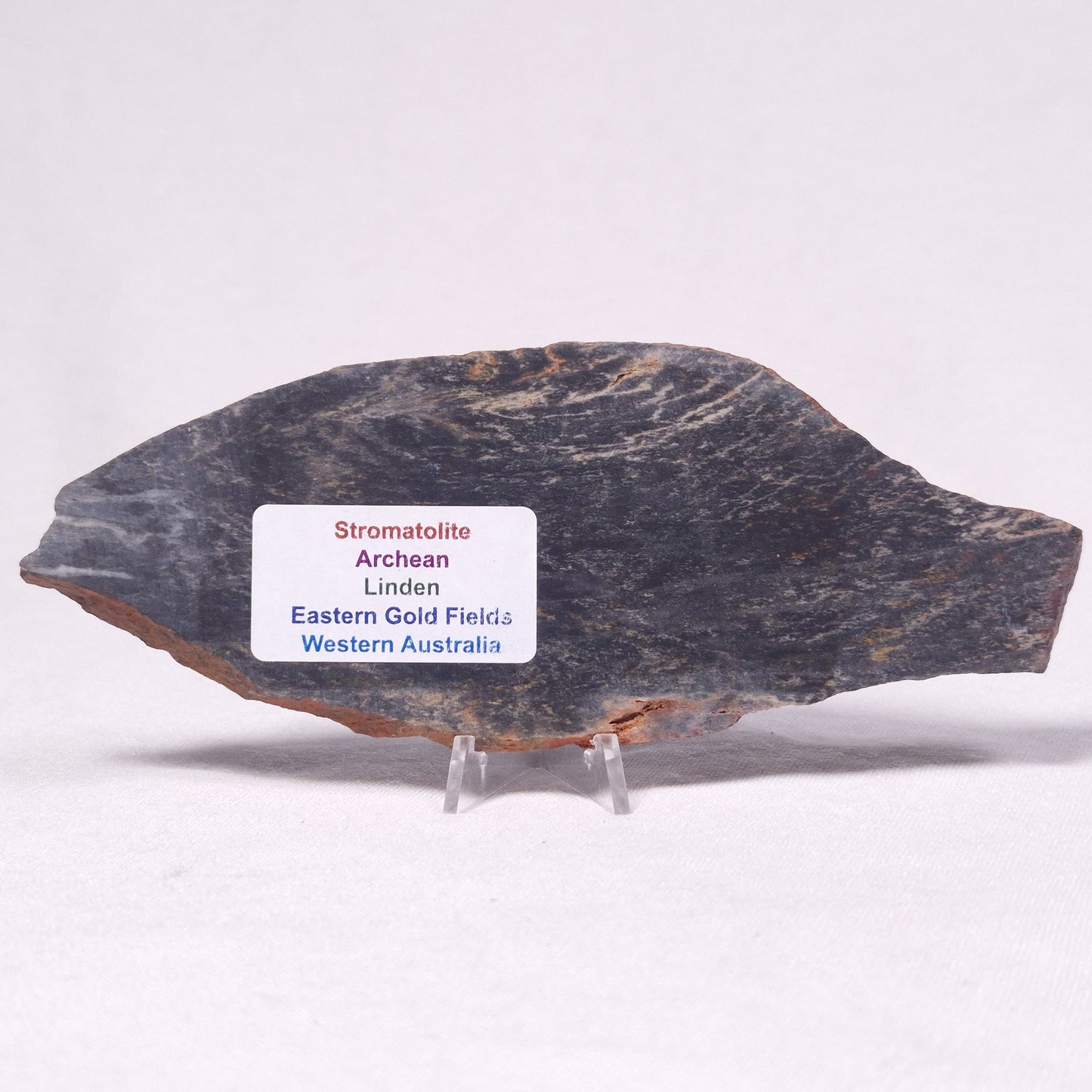 STROMATOLITE, Archean, Australia ZSL032