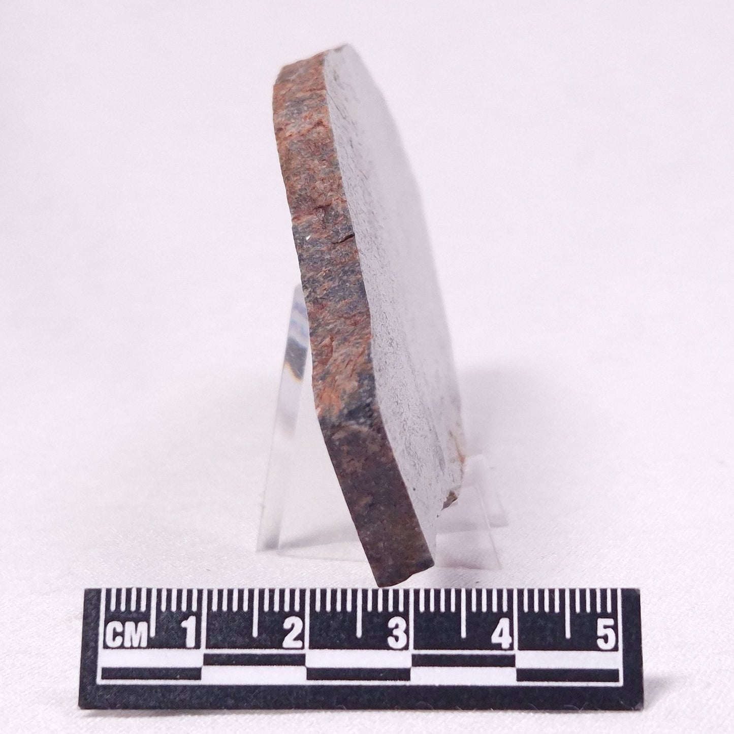 STROMATOLITE, Archean, Australia ZSL032