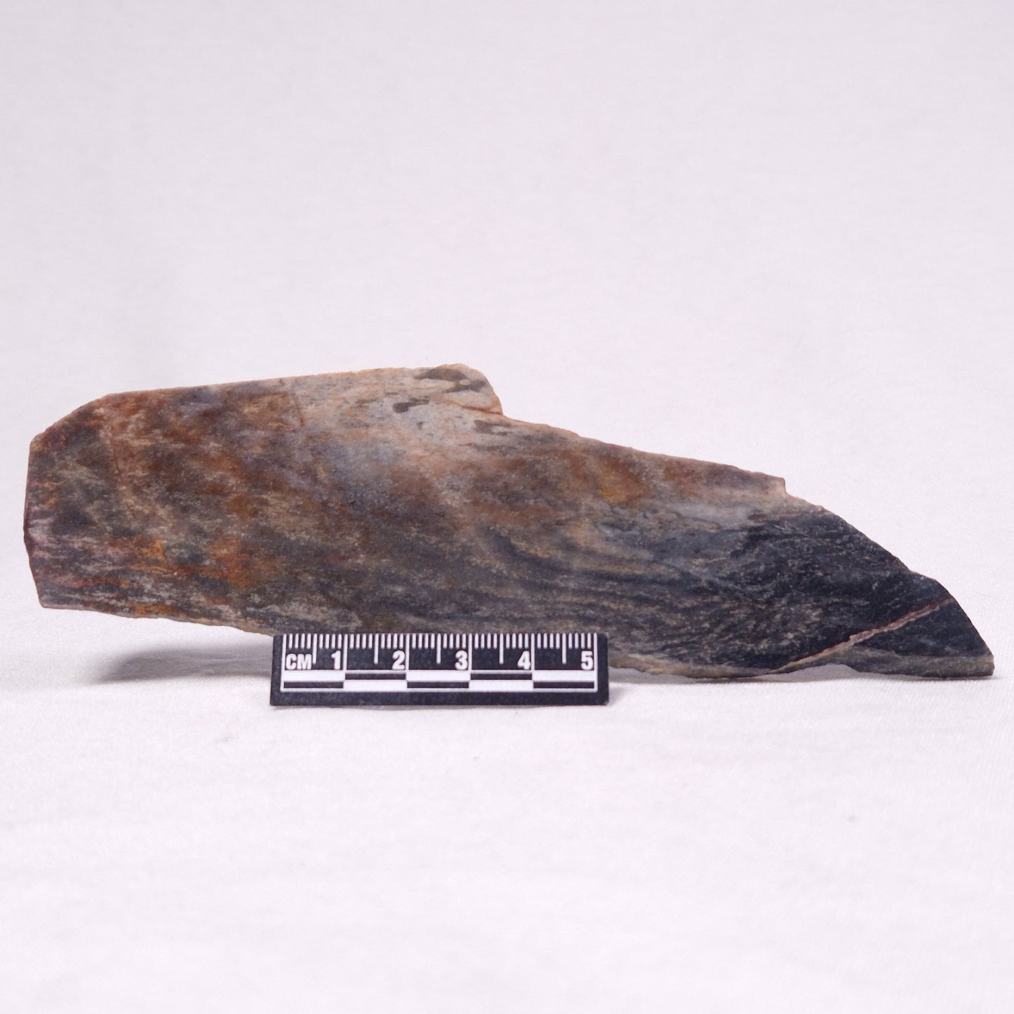 STROMATOLITE, Archean, Australia ZSL033