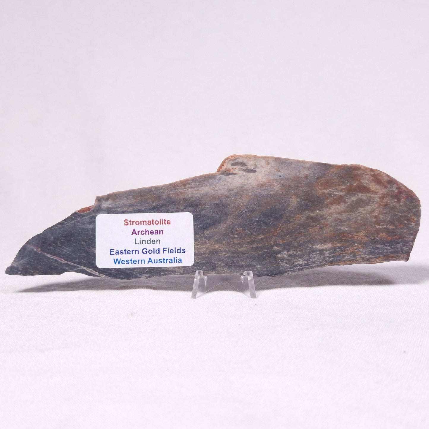 STROMATOLITE, Archean, Australia ZSL033