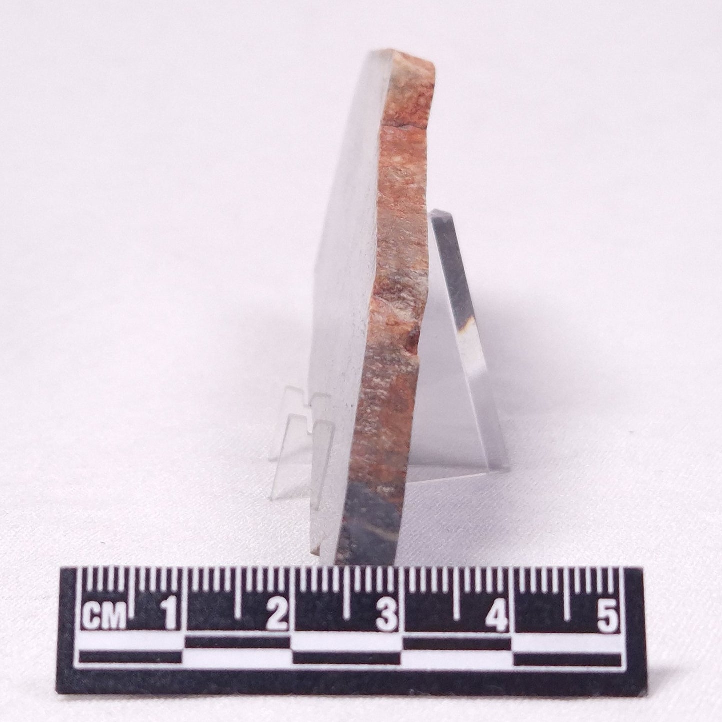 STROMATOLITE, Archean, Australia ZSL033