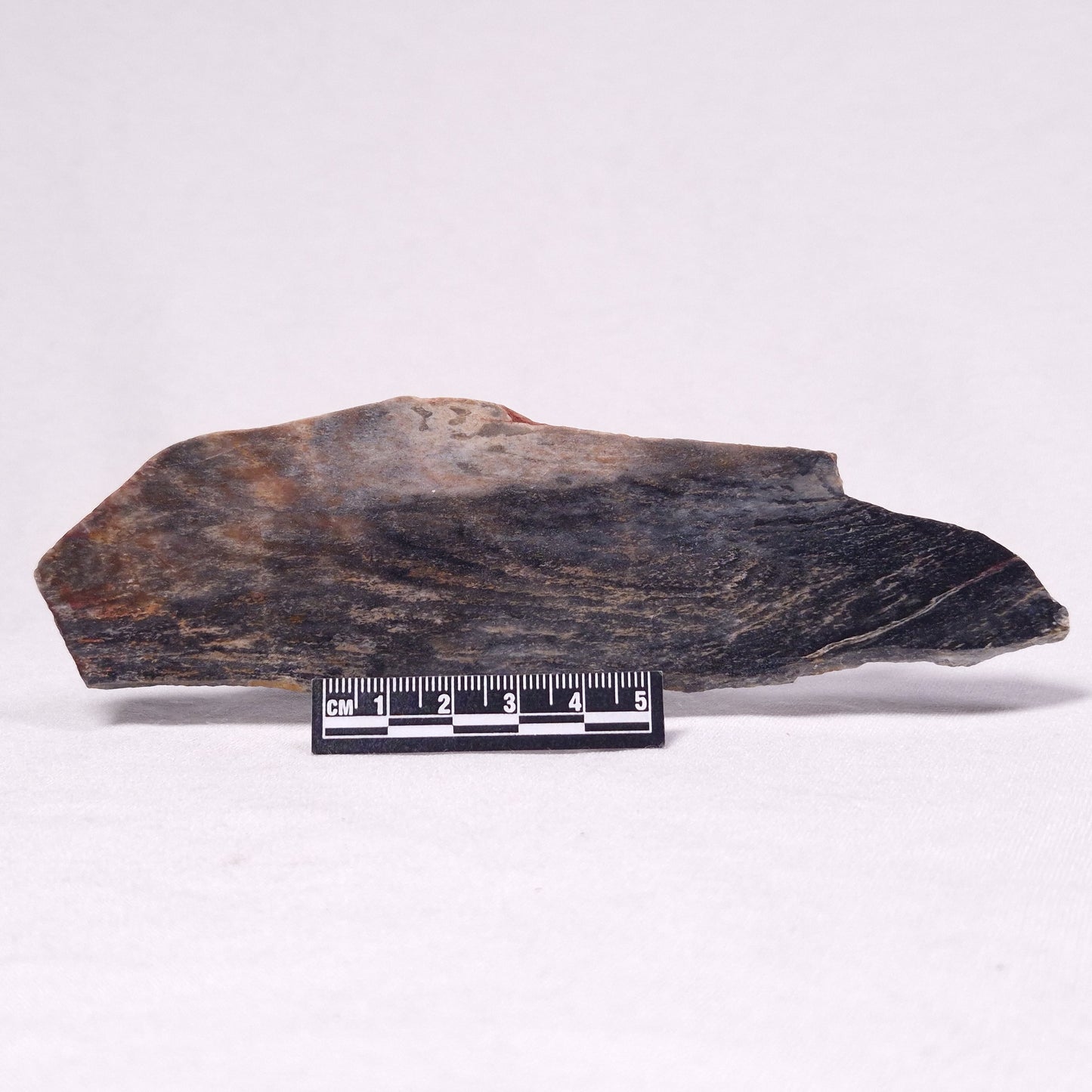 STROMATOLITE, Archean, Australia ZSL034