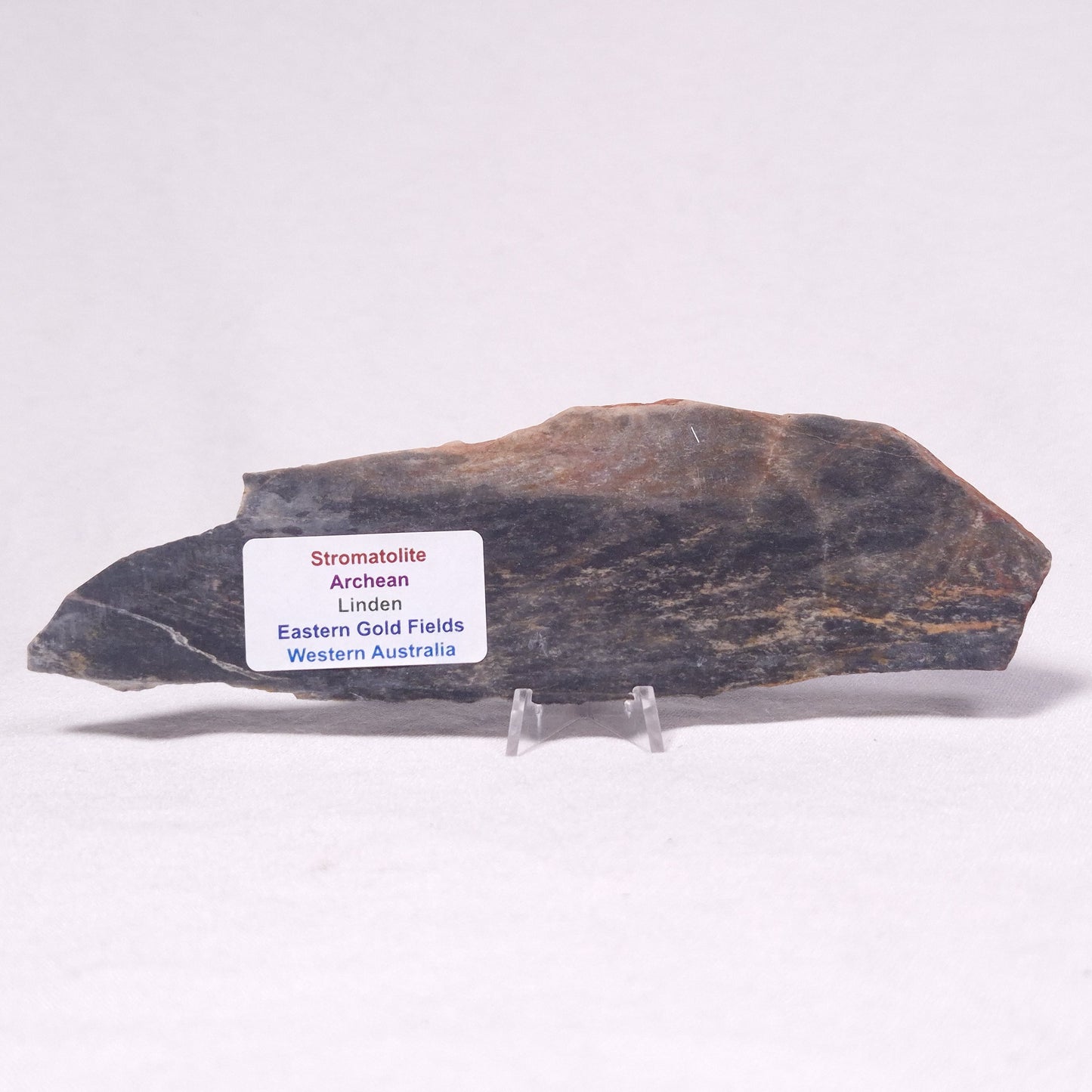 STROMATOLITE, Archean, Australia ZSL034