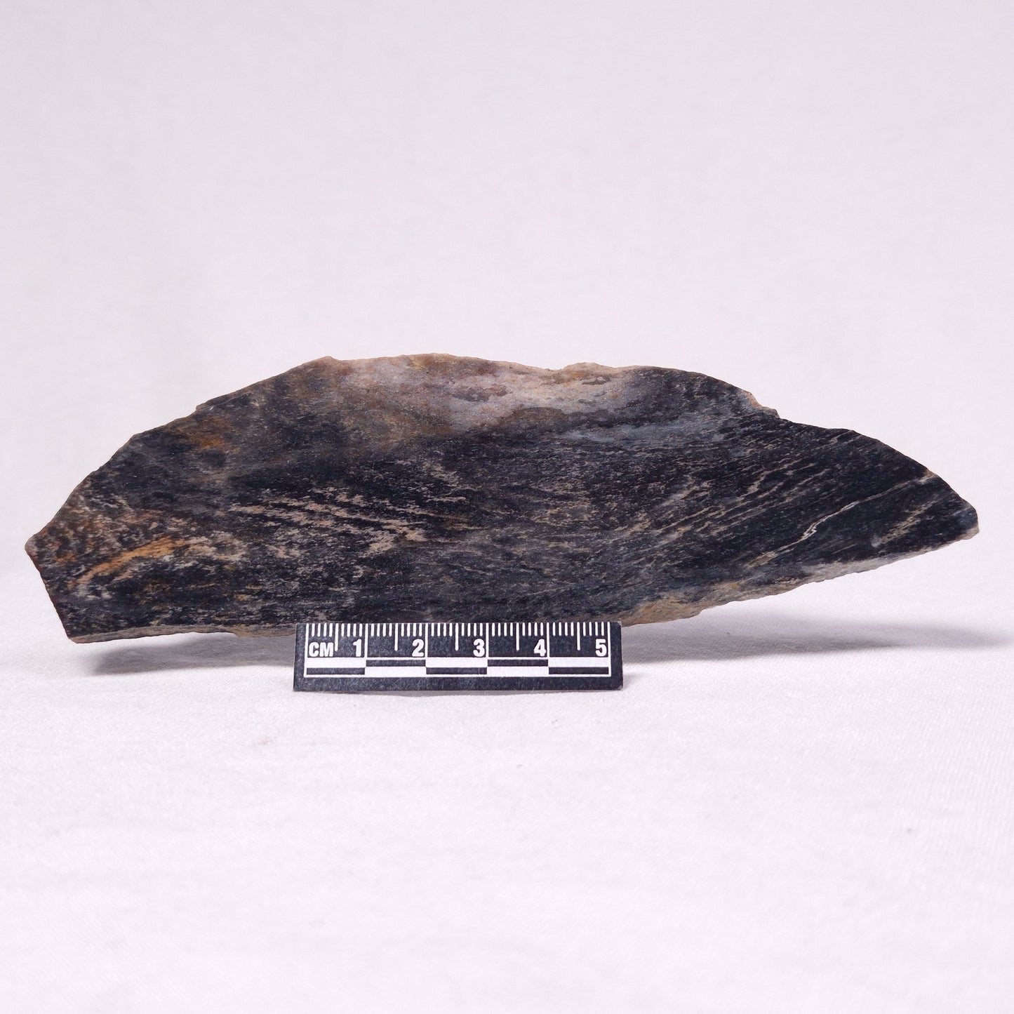 STROMATOLITE, Archean, Australia ZSL035