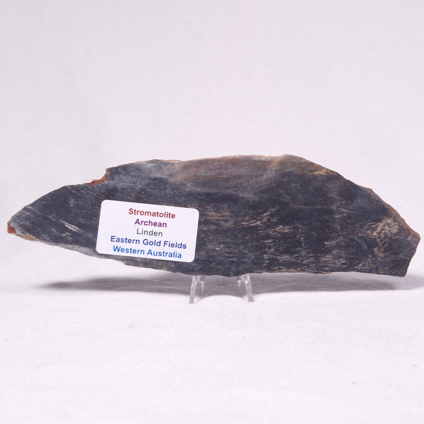 STROMATOLITE, Archean, Australia ZSL035