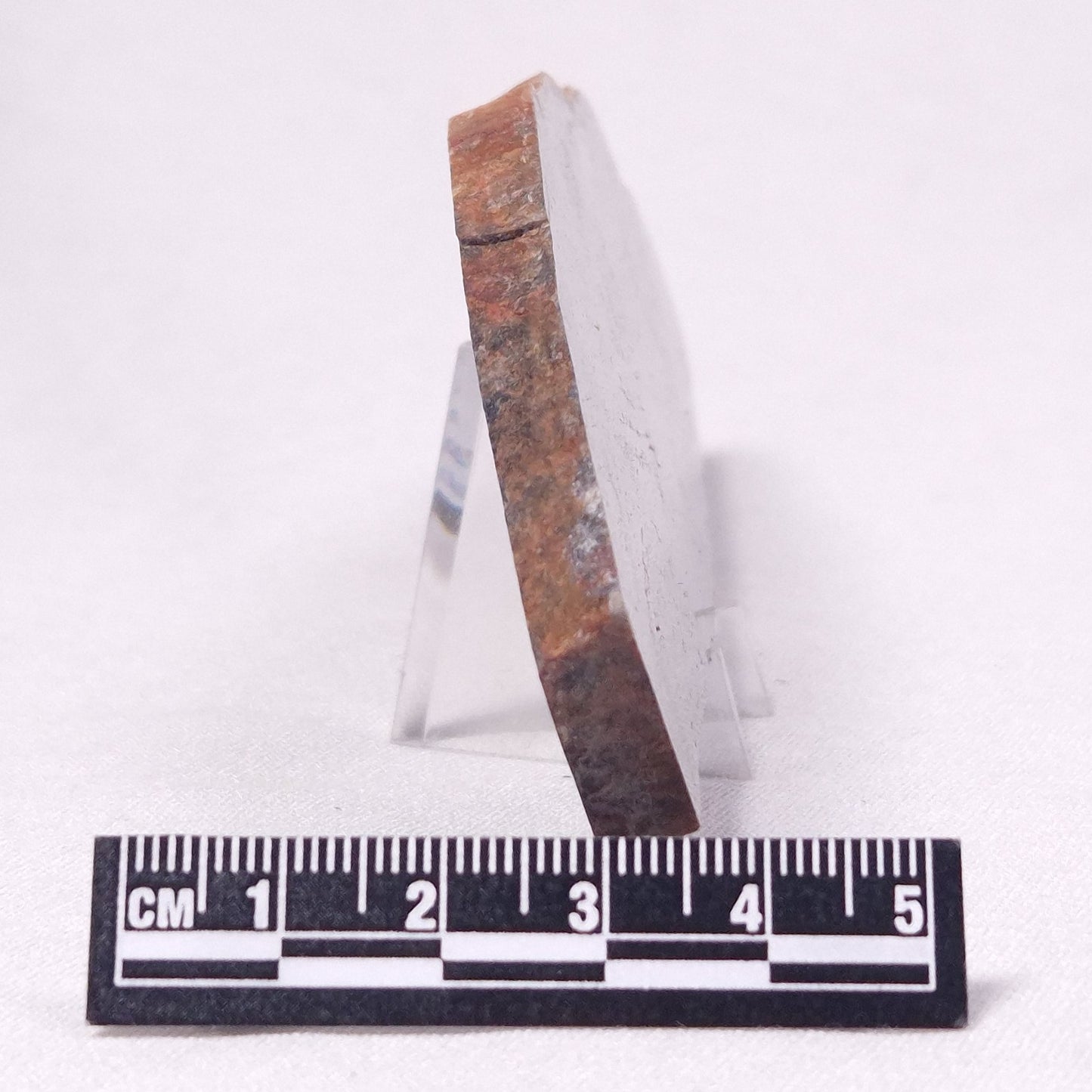 STROMATOLITE, Archean, Australia ZSL035