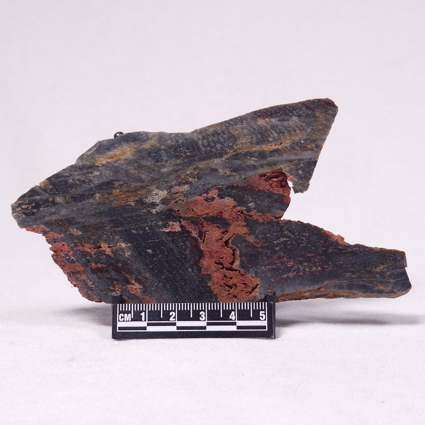 STROMATOLITE, Archean, Australia ZSL037