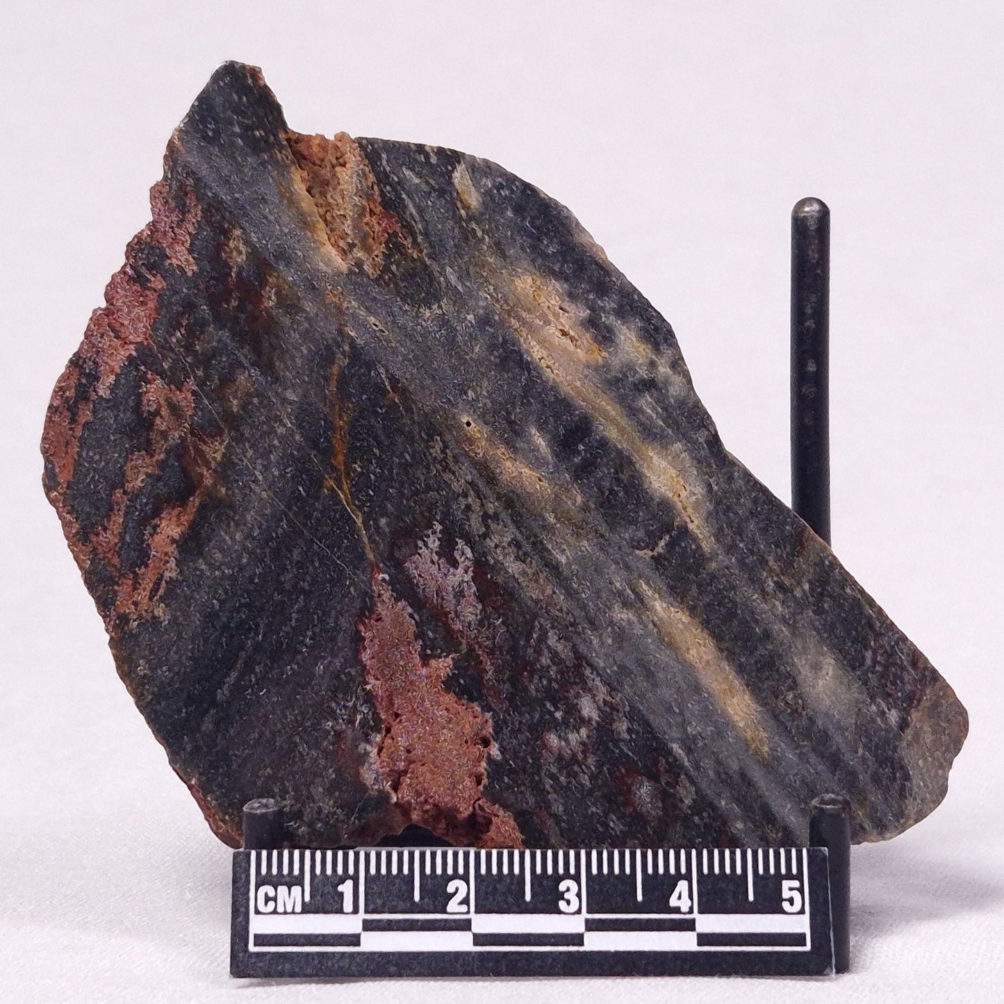 STROMATOLITE, Archean, Australia ZSL038
