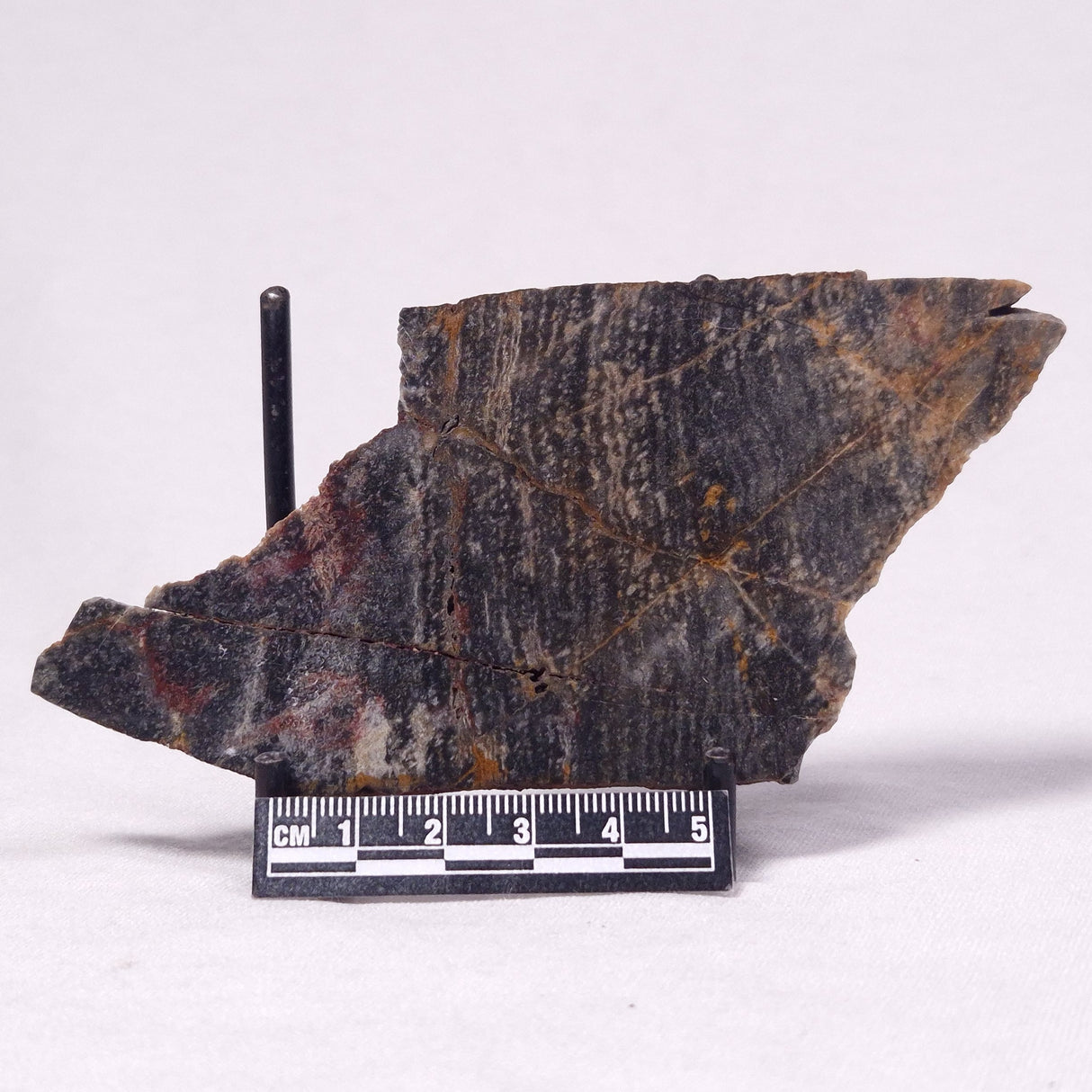 STROMATOLITE, Archean, Australia ZSL039