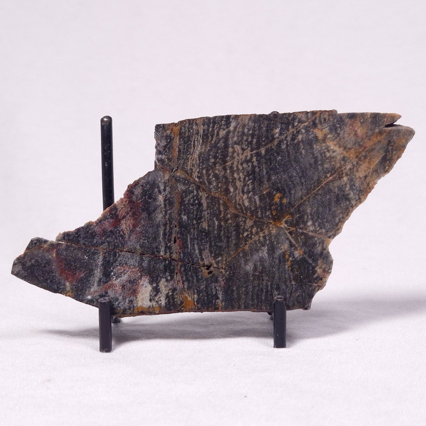 STROMATOLITE, Archean, Australia ZSL039