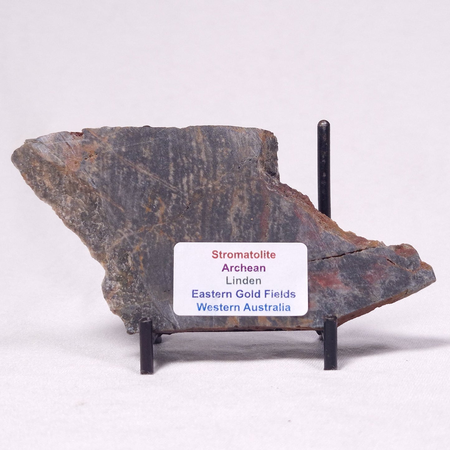 STROMATOLITE, Archean, Australia ZSL039