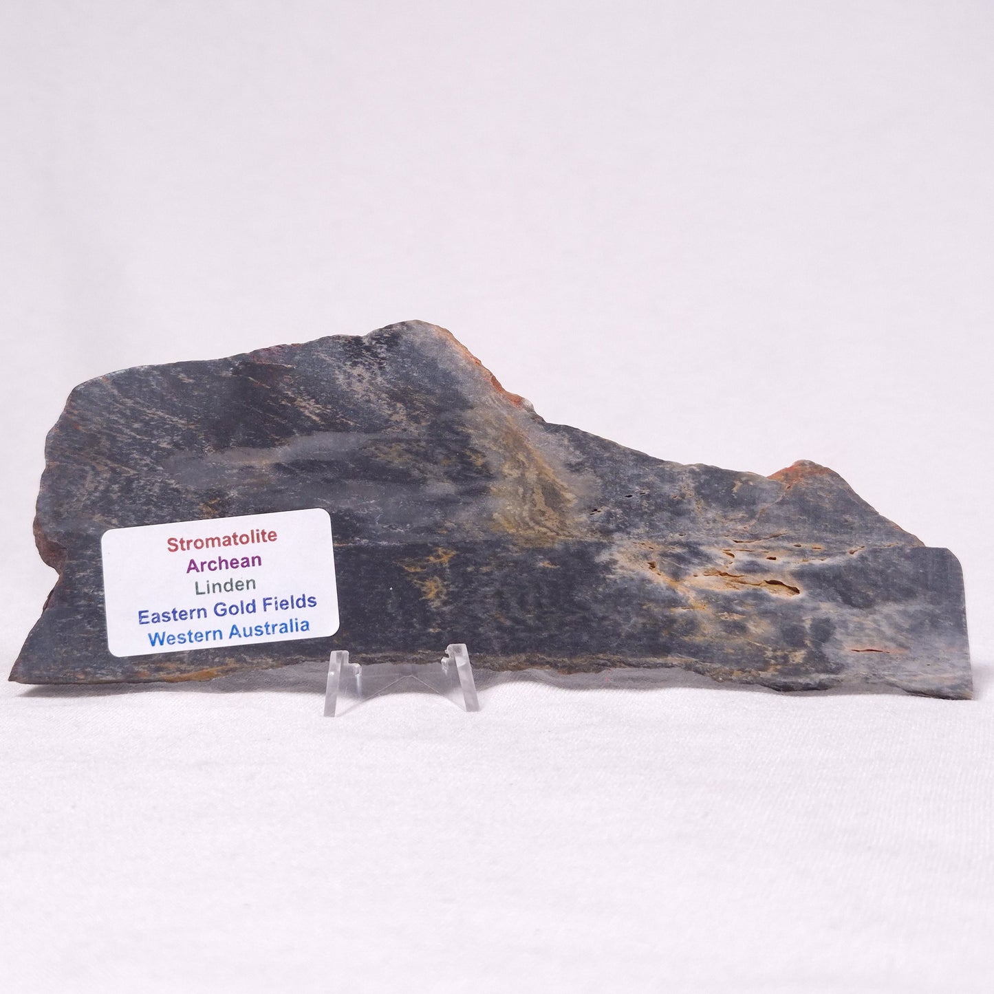 STROMATOLITE, Archean, Australia ZSL045