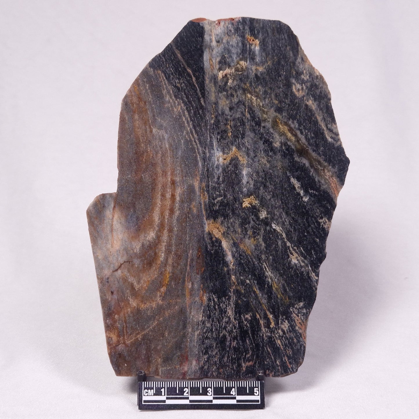 STROMATOLITE, Archean, Australia ZSL048