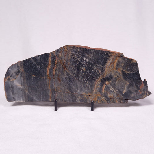 STROMATOLITE, Archean, Australia ZSL050