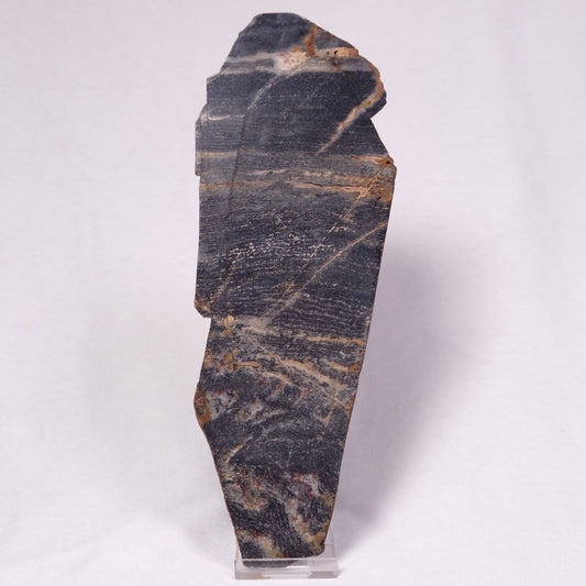 STROMATOLITE, Archean, Australia ZSL051