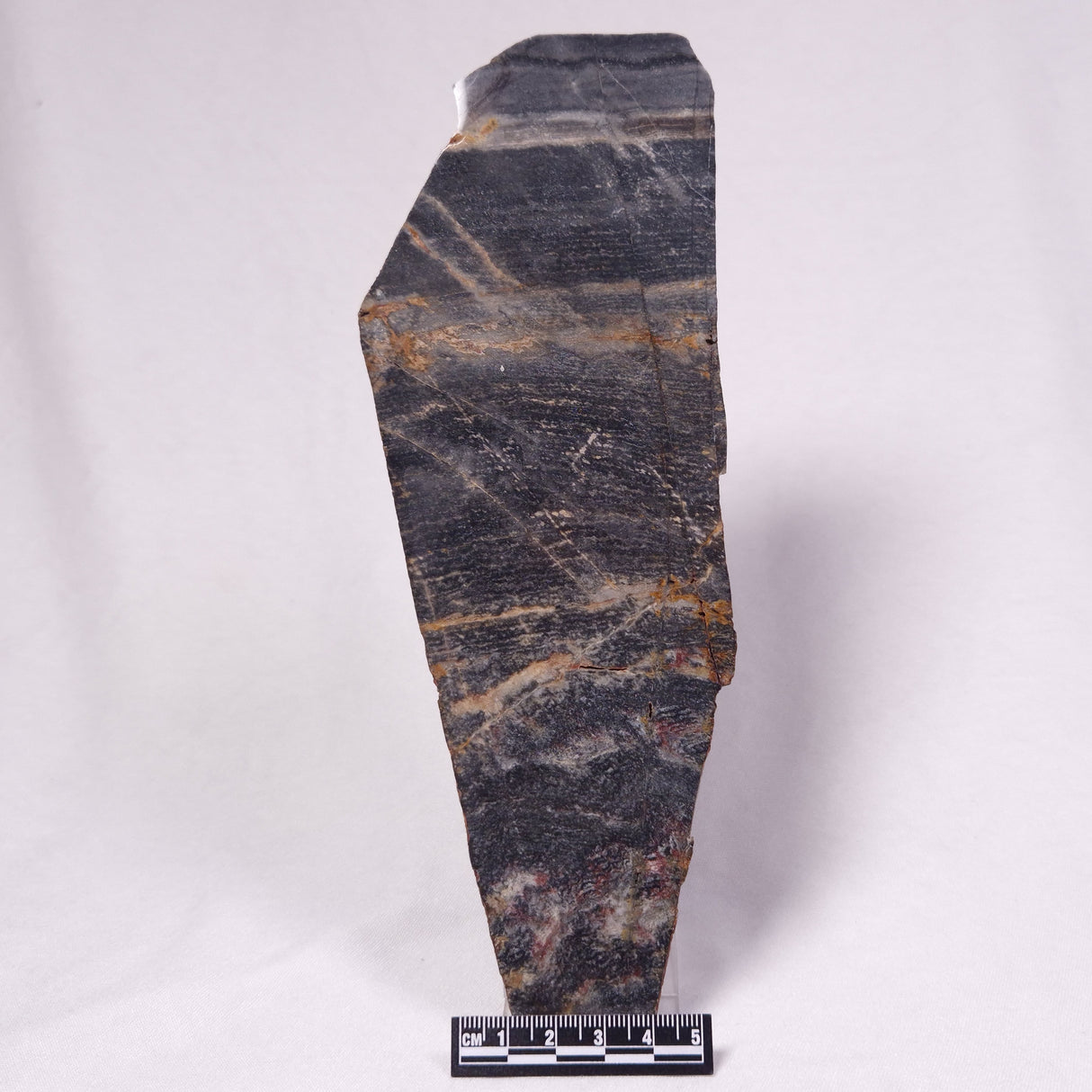 STROMATOLITE, Archean, Australia ZSL052