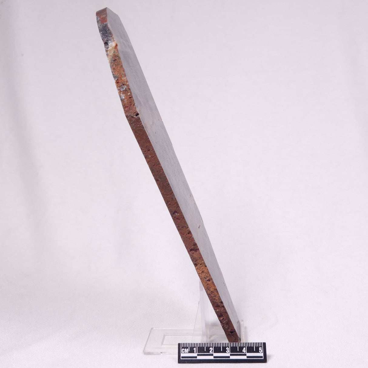 STROMATOLITE, Archean, Australia ZSL052