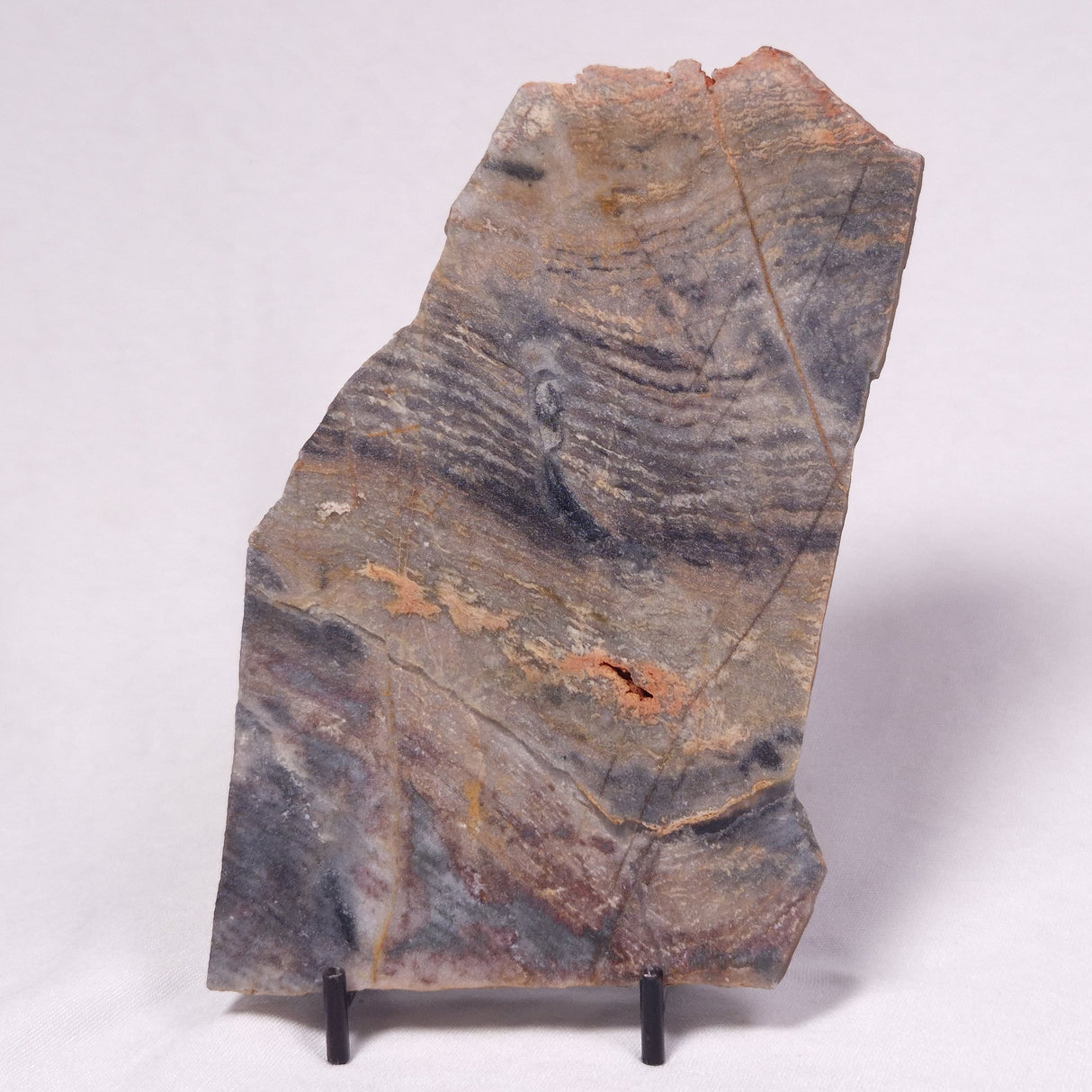STROMATOLITE, Archean, Australia ZSL055