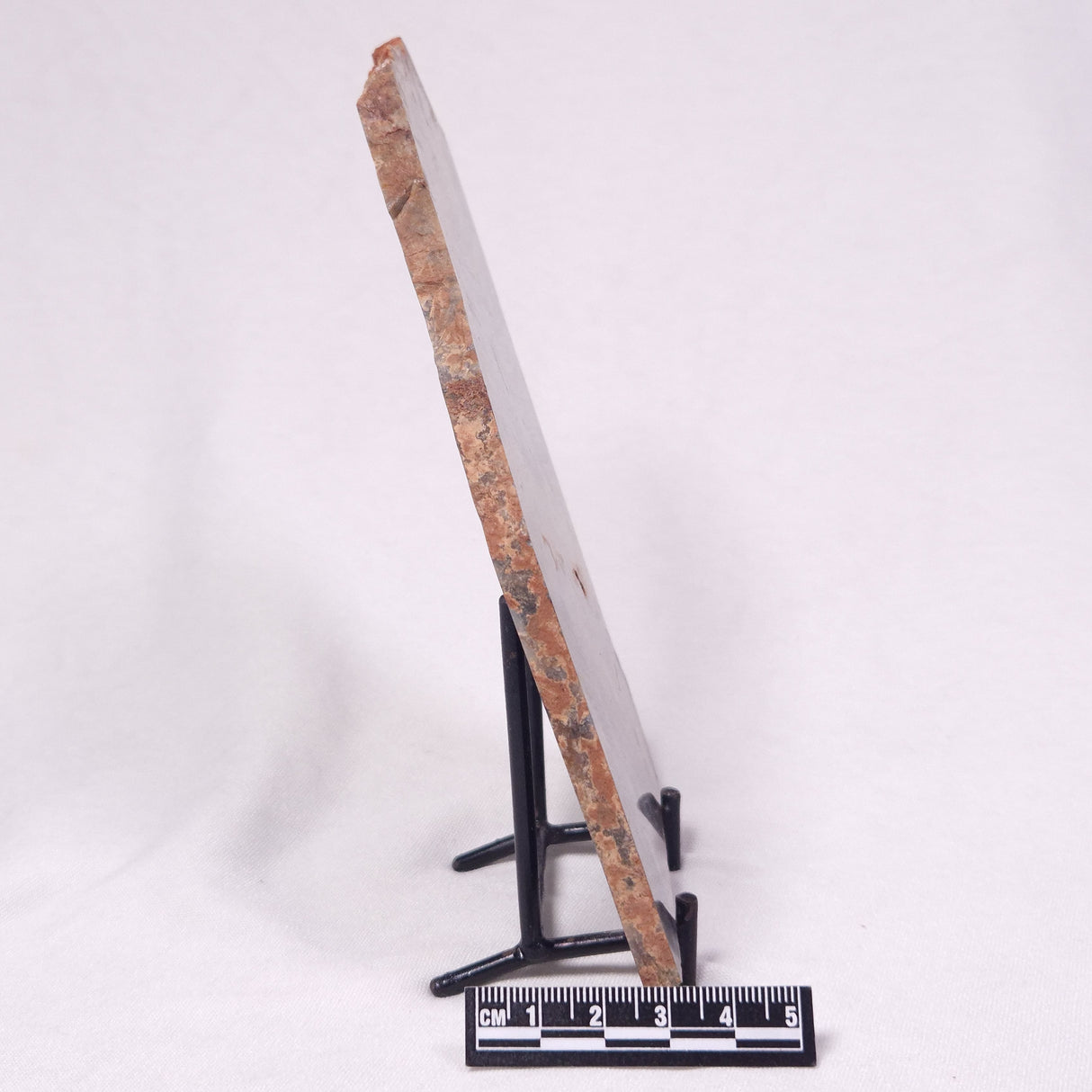 STROMATOLITE, Archean, Australia ZSL055