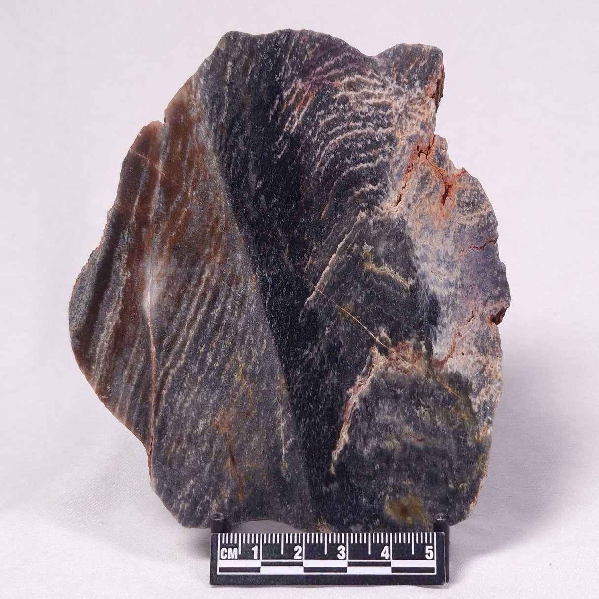 STROMATOLITE, Archean, Australia ZSL056