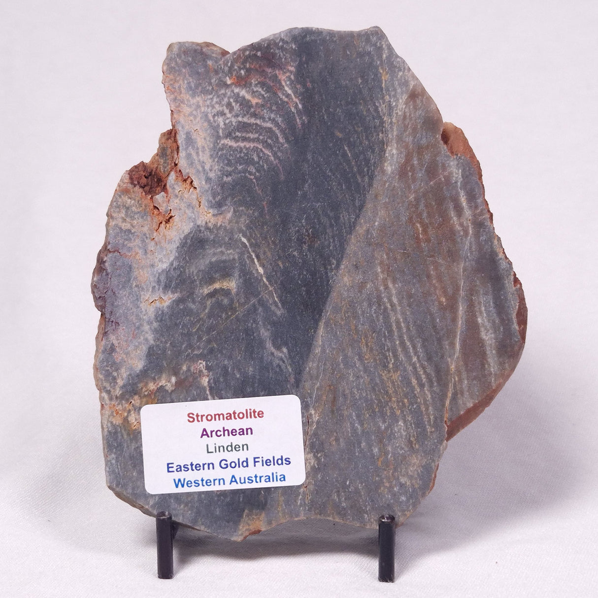 STROMATOLITE, Archean, Australia ZSL056