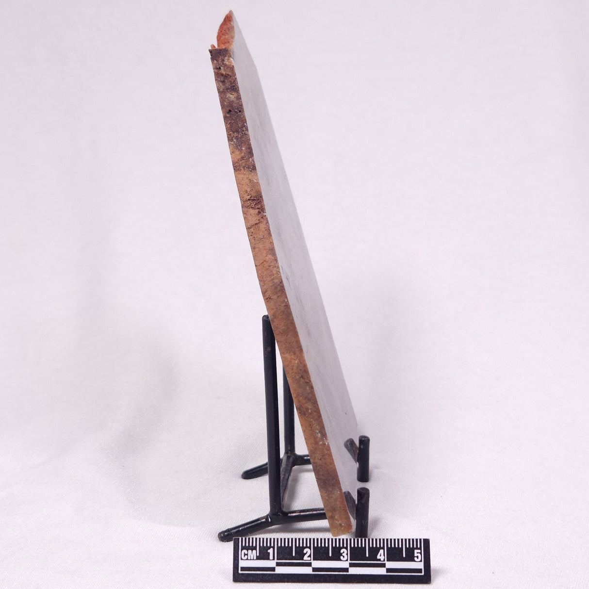 STROMATOLITE, Archean, Australia ZSL057