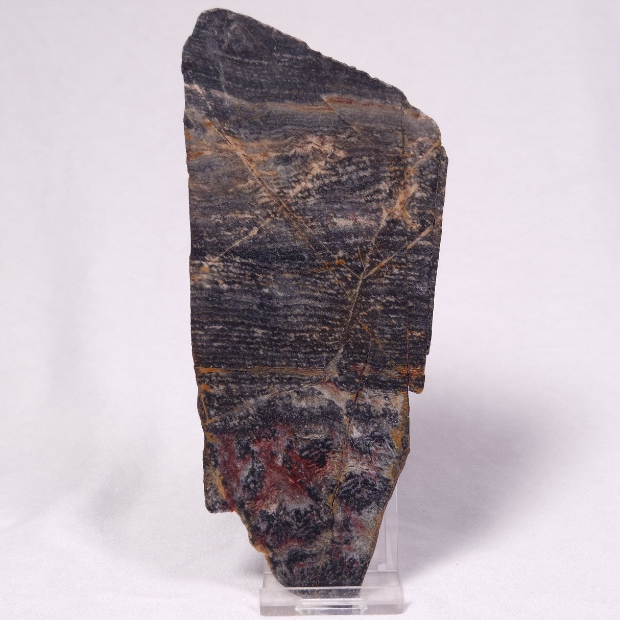 STROMATOLITE, Archean, Australia ZSL058
