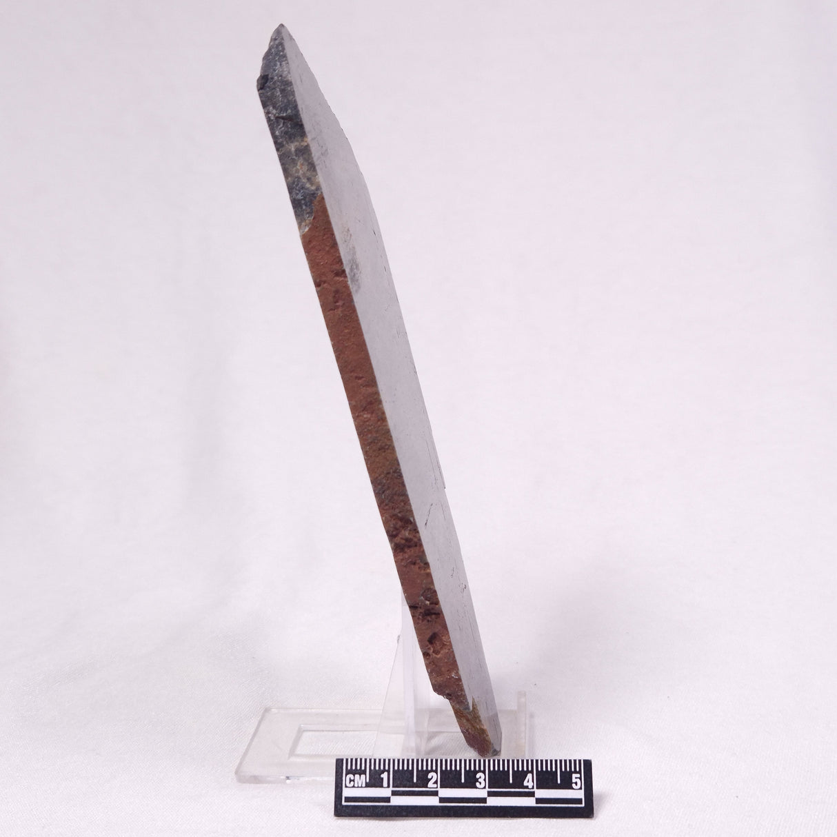 STROMATOLITE, Archean, Australia ZSL058