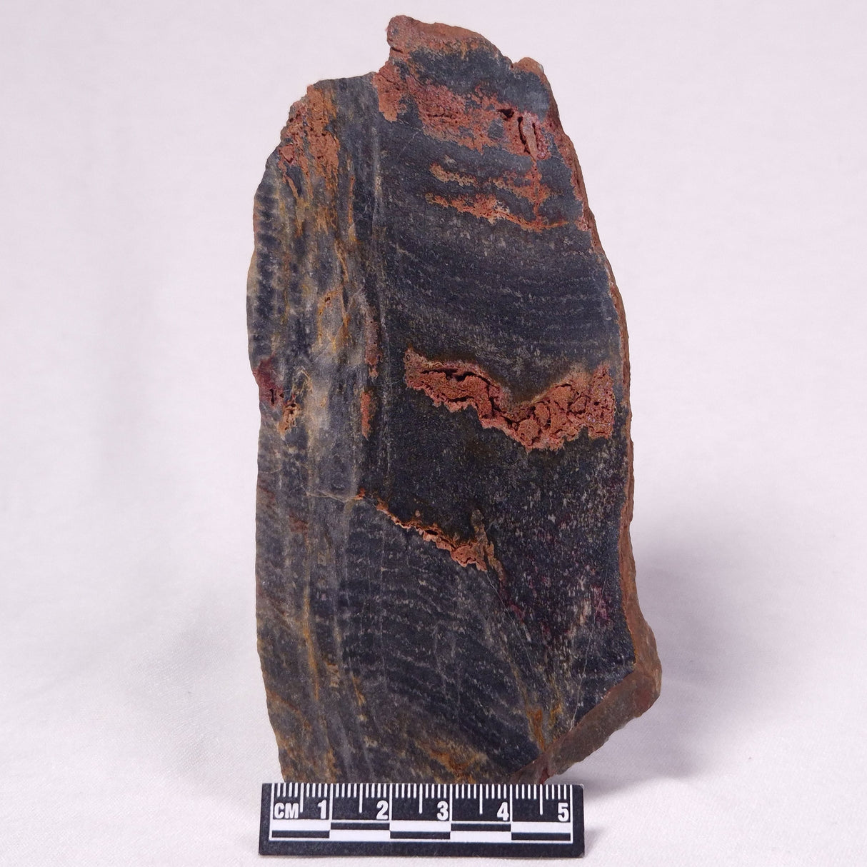 STROMATOLITE, Archean, Australia ZSL059