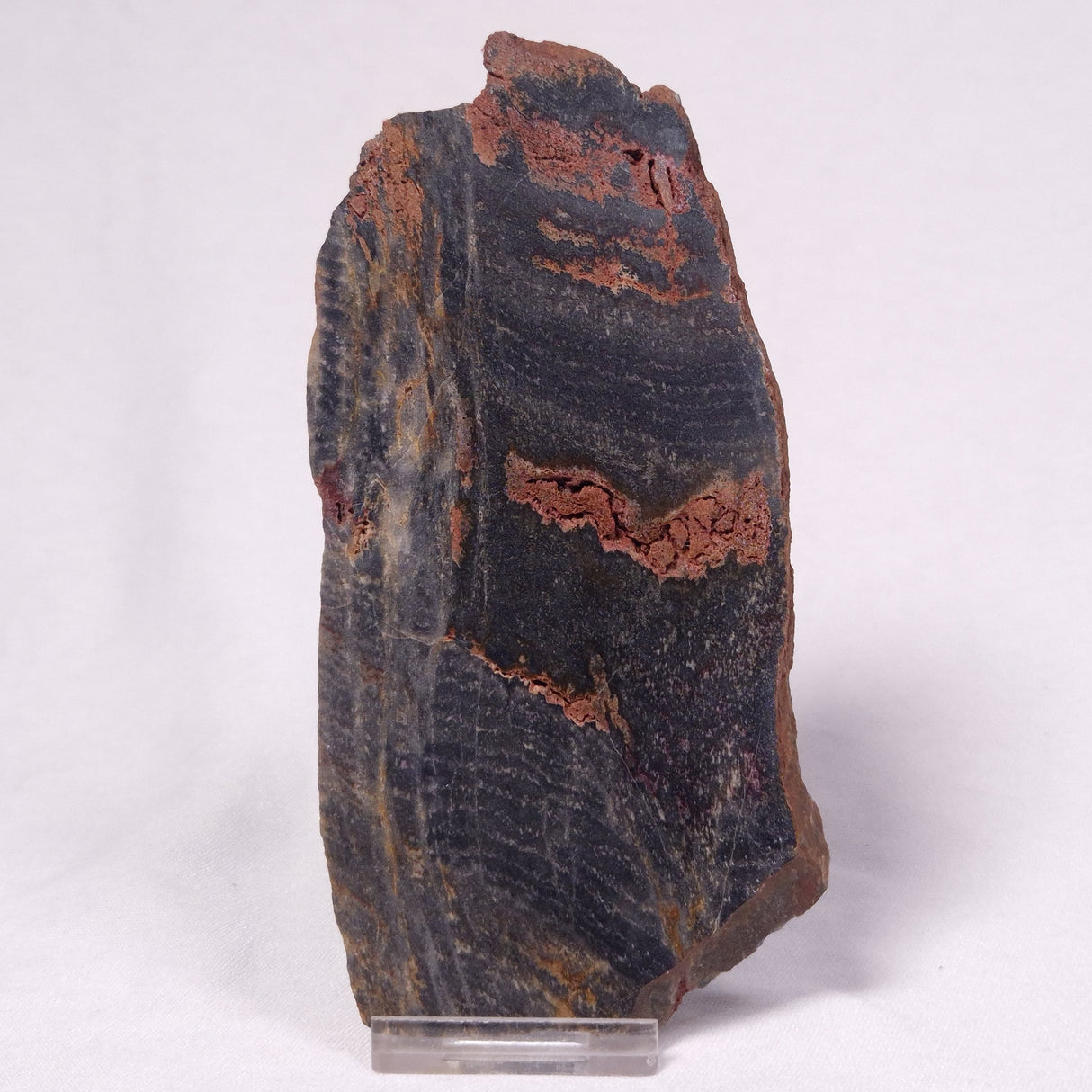 STROMATOLITE, Archean, Australia ZSL059