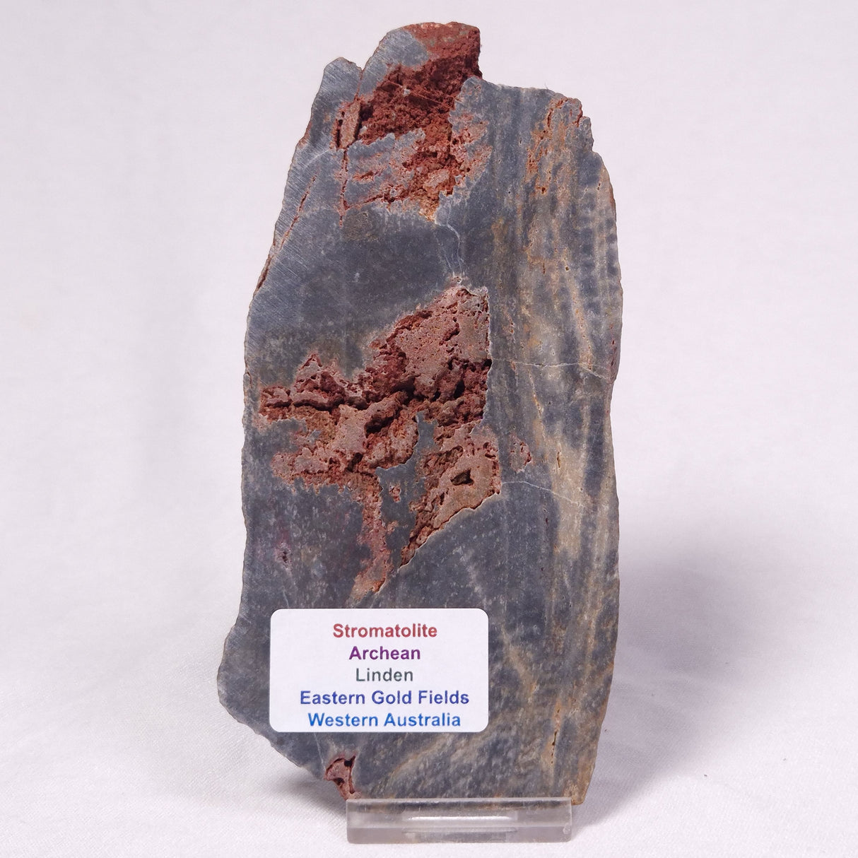 STROMATOLITE, Archean, Australia ZSL059