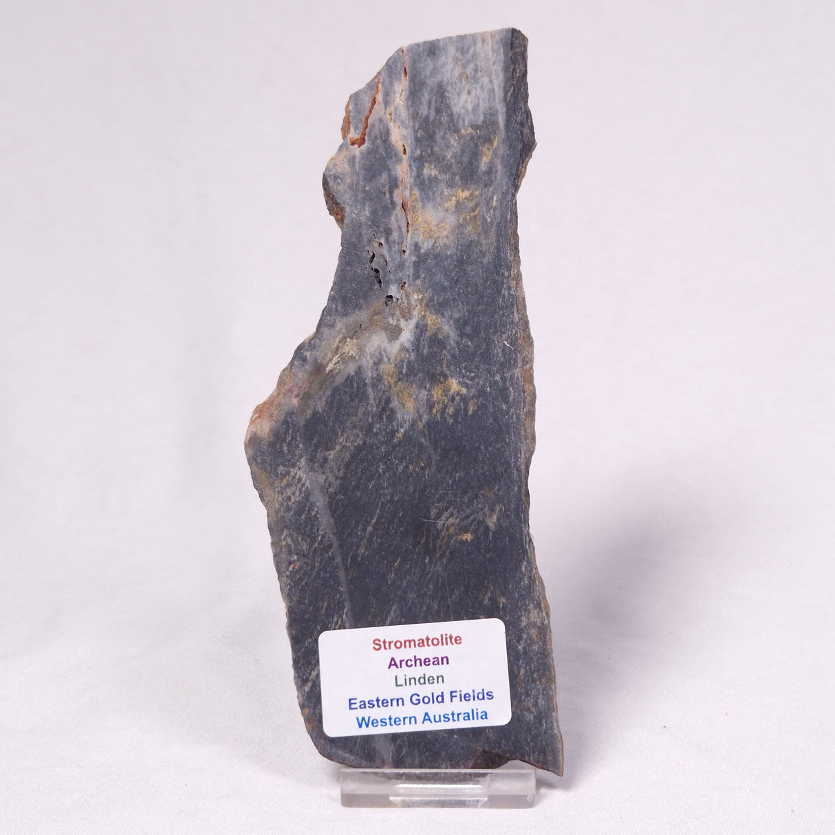 STROMATOLITE, Archean, Australia ZSL060