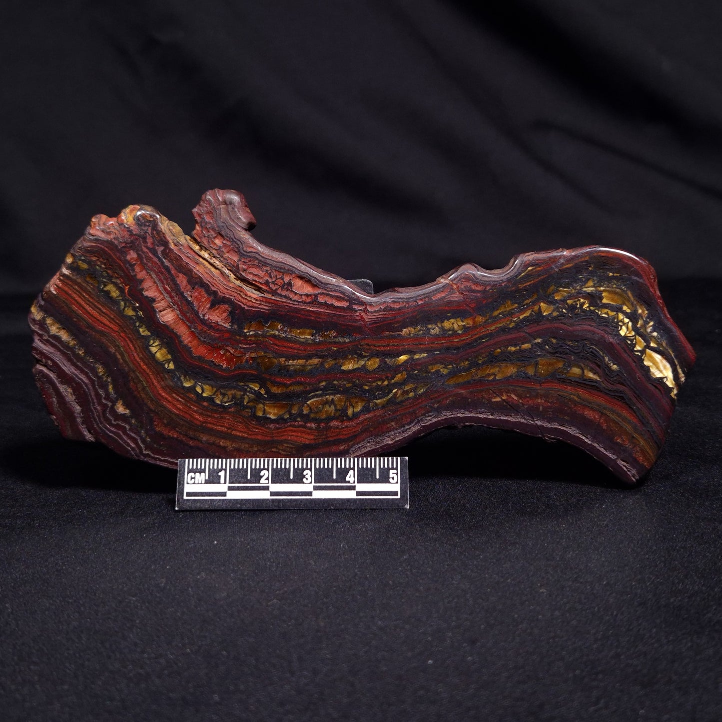 BANDED TIGER IRON MICROBIALITE, Archean, Australia ZBI050