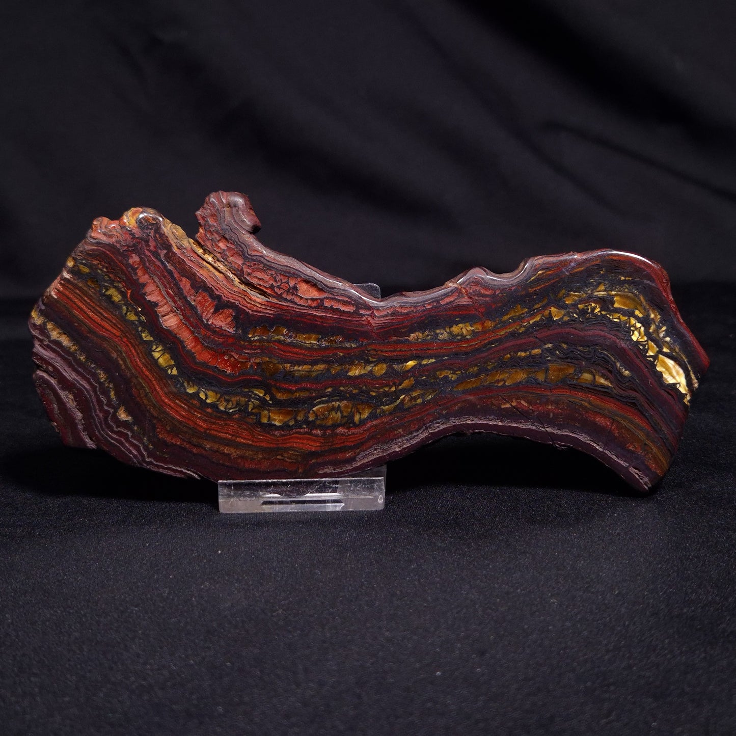 BANDED TIGER IRON MICROBIALITE, Archean, Australia ZBI050