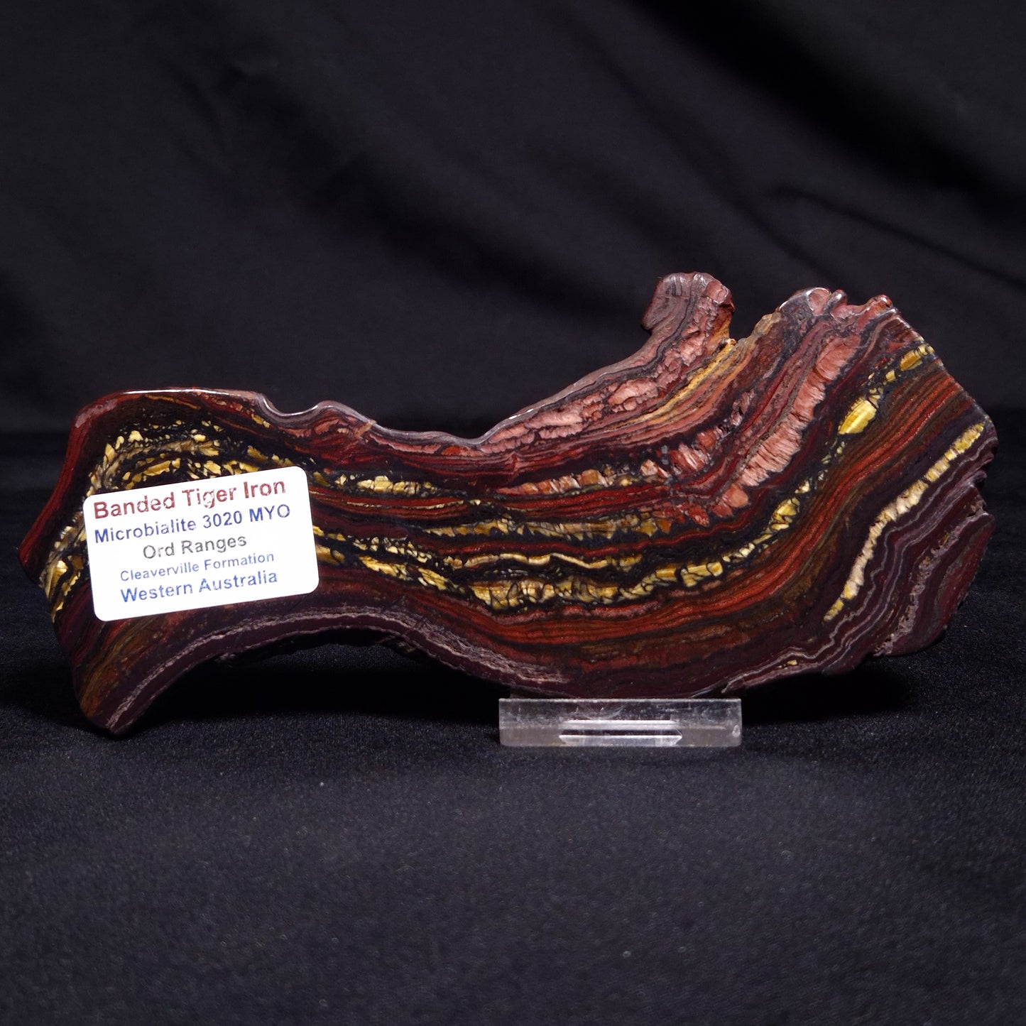 BANDED TIGER IRON MICROBIALITE, Archean, Australia ZBI050