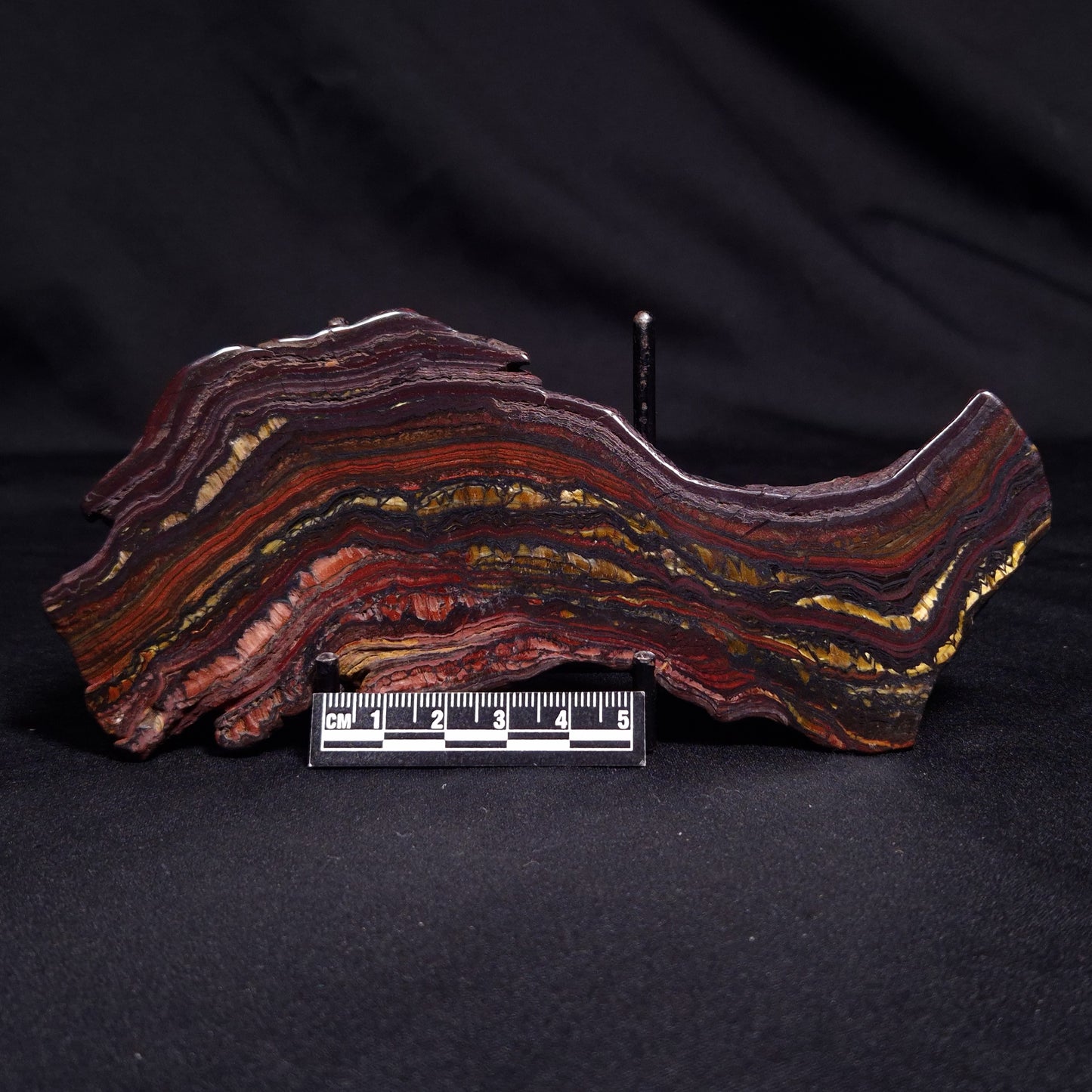 BANDED TIGER IRON MICROBIALITE, Archean, Australia ZBI051