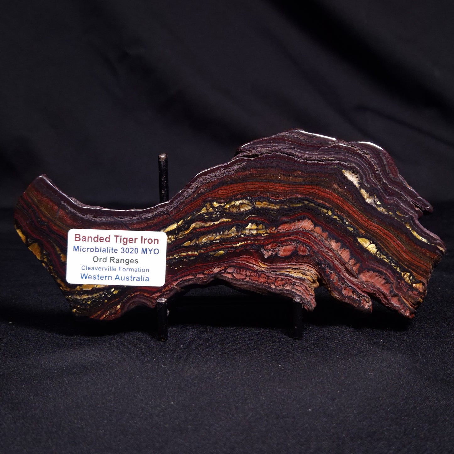 BANDED TIGER IRON MICROBIALITE, Archean, Australia ZBI051