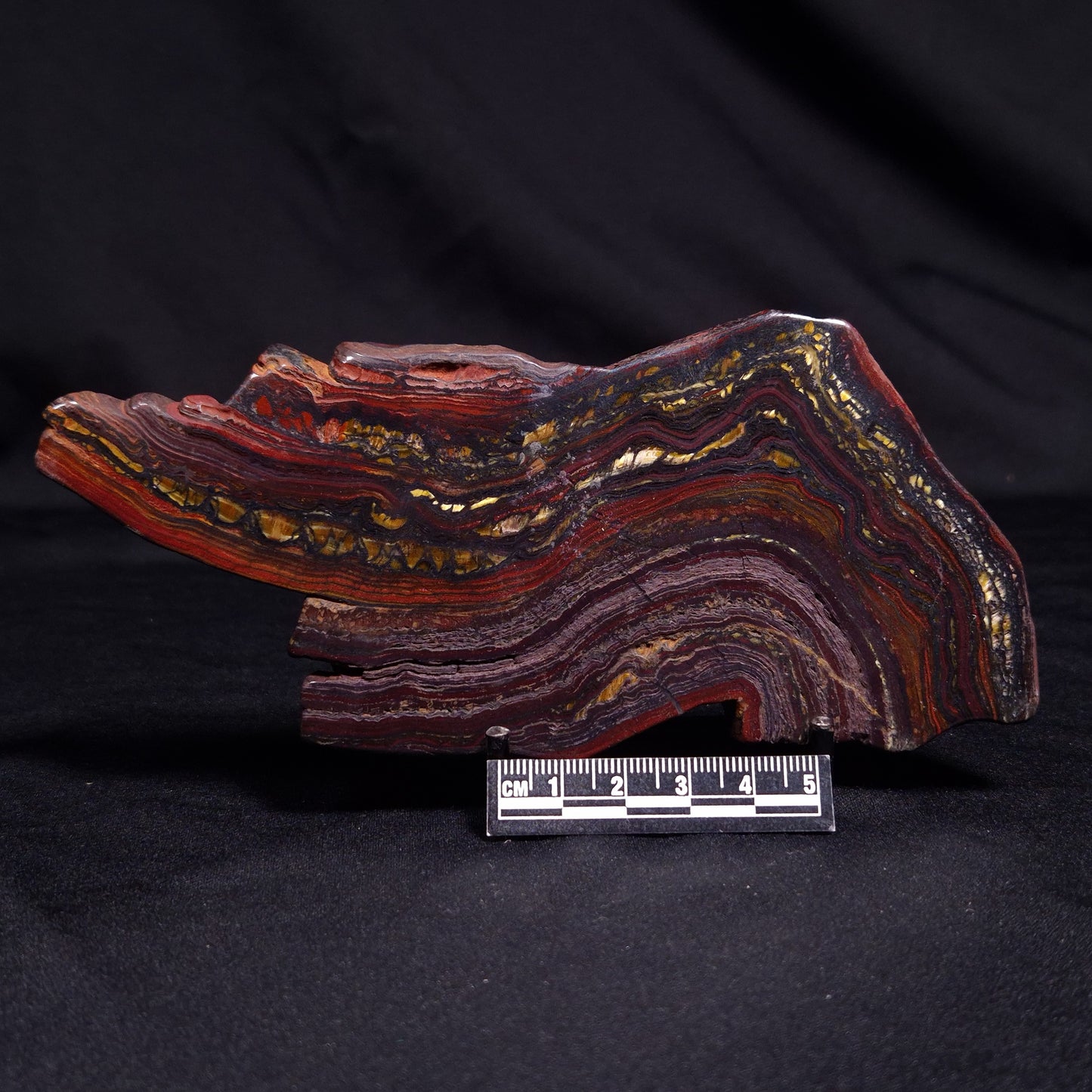 BANDED TIGER IRON MICROBIALITE, Archean, Australia ZBI052