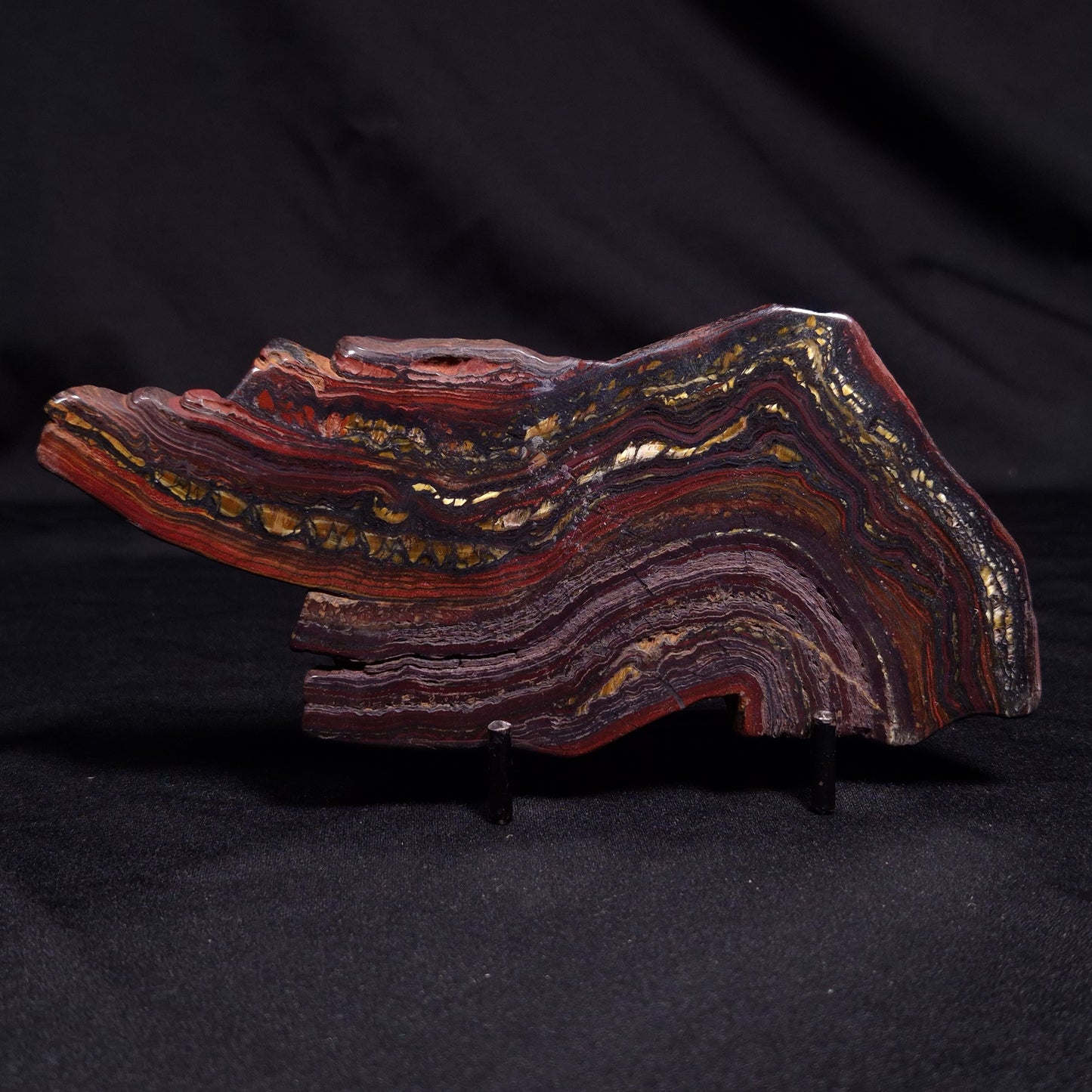 BANDED TIGER IRON MICROBIALITE, Archean, Australia ZBI052