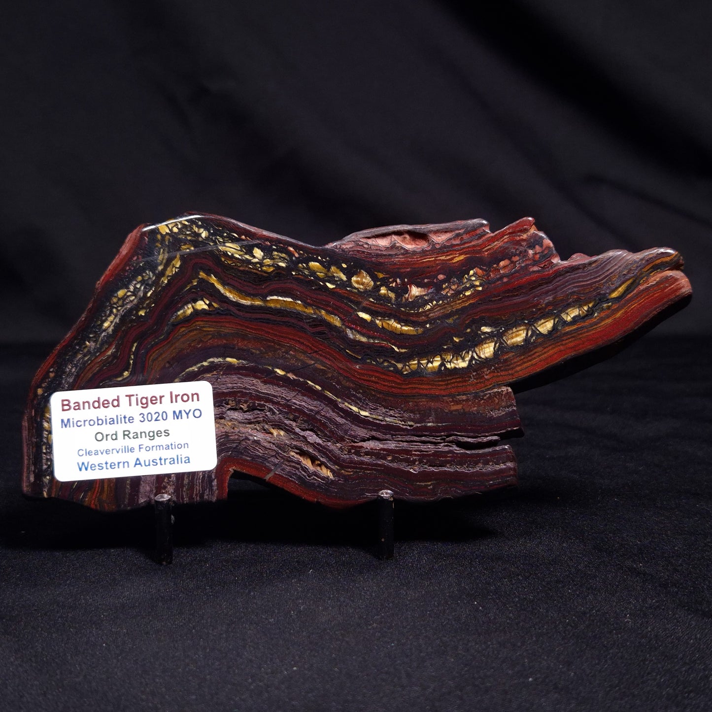 BANDED TIGER IRON MICROBIALITE, Archean, Australia ZBI052