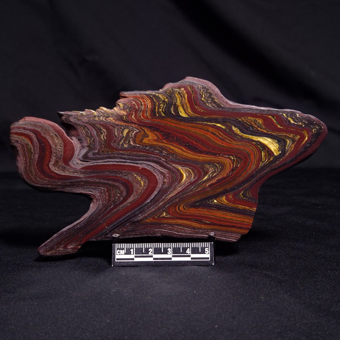 BANDED TIGER IRON MICROBIALITE, Archean, Australia ZBI053