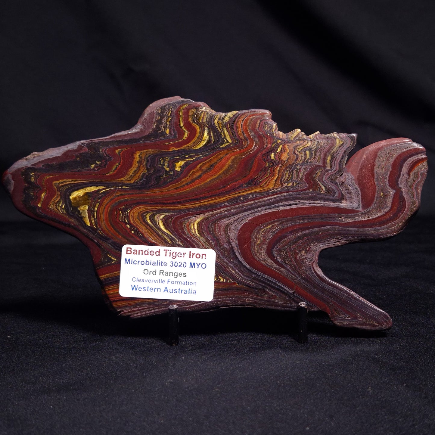 BANDED TIGER IRON MICROBIALITE, Archean, Australia ZBI053