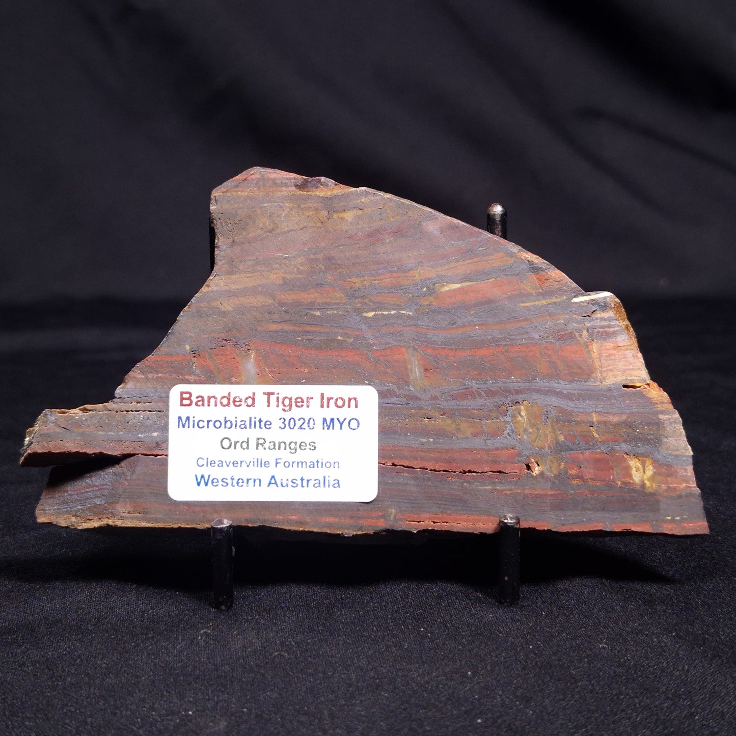 BANDED TIGER IRON MICROBIALITE, Archean, Australia ZBI054